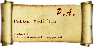 Pekker Amélia névjegykártya